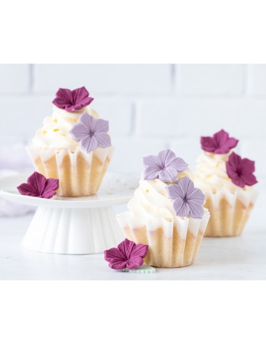 Colorant Alimentar Natural Roșu,...